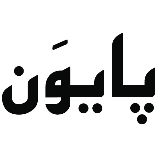 شرکت پایون
