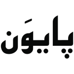 شرکت پایون